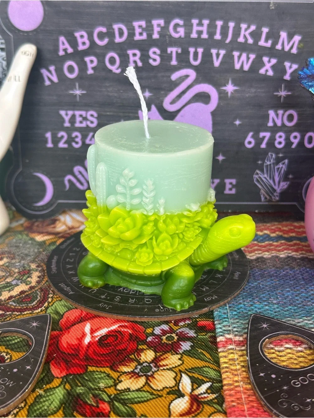 Succulent Turtle Candle